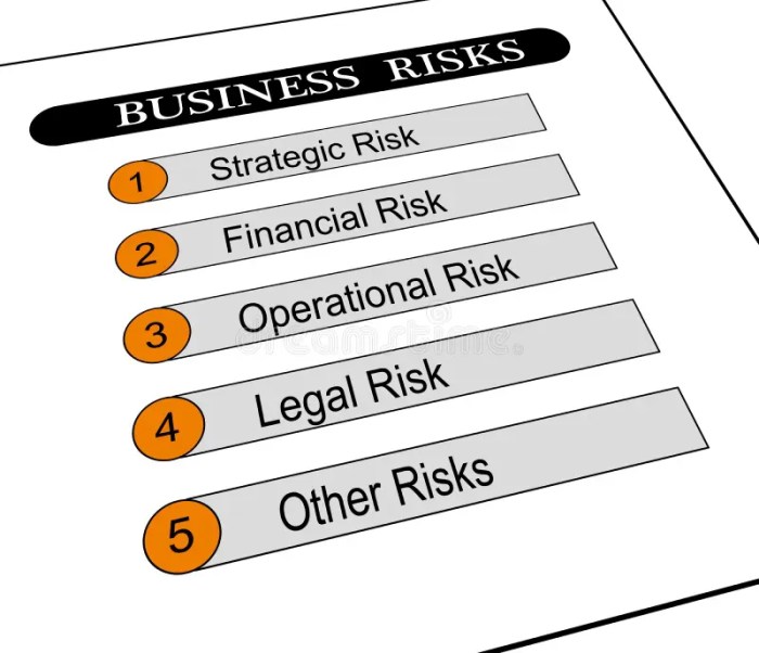 9 Types of Business Risks