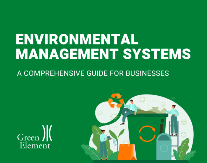 The Ultimate Guide to Environmental Management