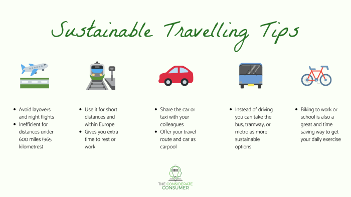 Tourism sustainable travel infographic development responsible sustainability what tips environment can article management choose why eco impact es infographics local