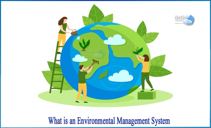 The Ultimate Guide to Environmental Management