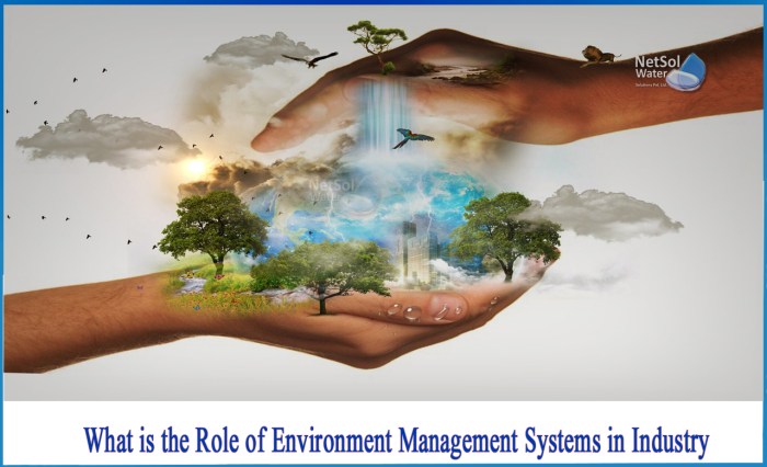 The Ultimate Guide to Environmental Management