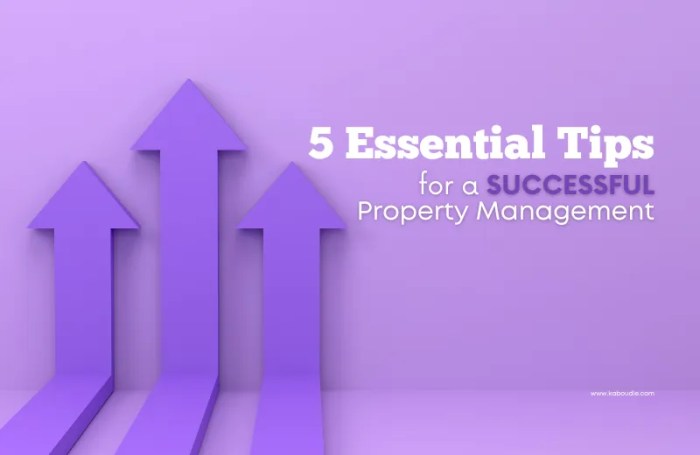 Ow to Manage Your Property in a Competitive Market (7 Tips)