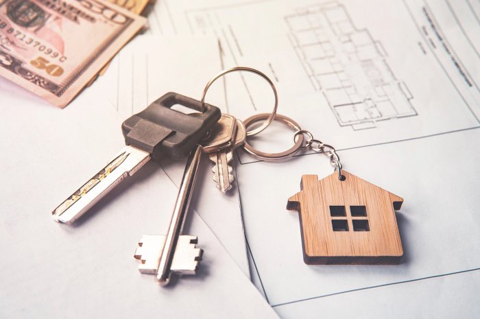 Property team Property team