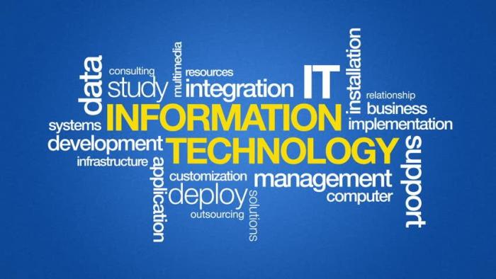 The Ultimate Guide to Information Technology Management