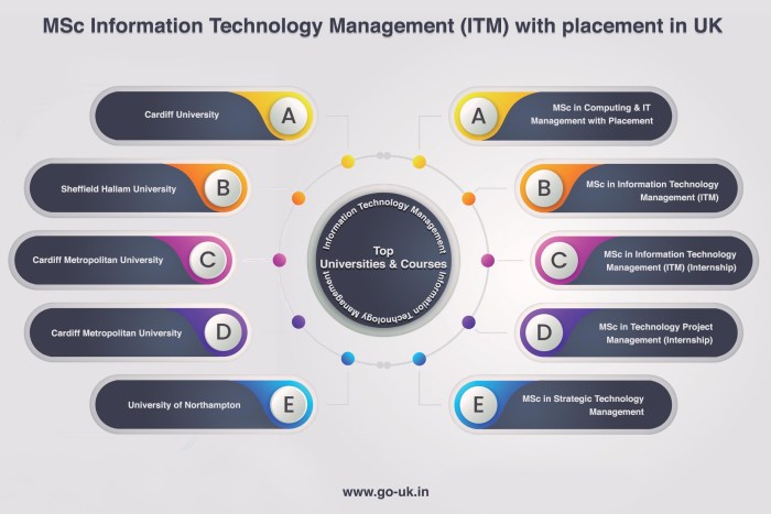The Ultimate Guide to Information Technology Management